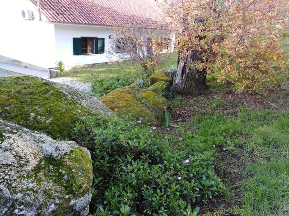 فيلا Quinta Souto Da Ordem - House Castelo Novo المظهر الخارجي الصورة