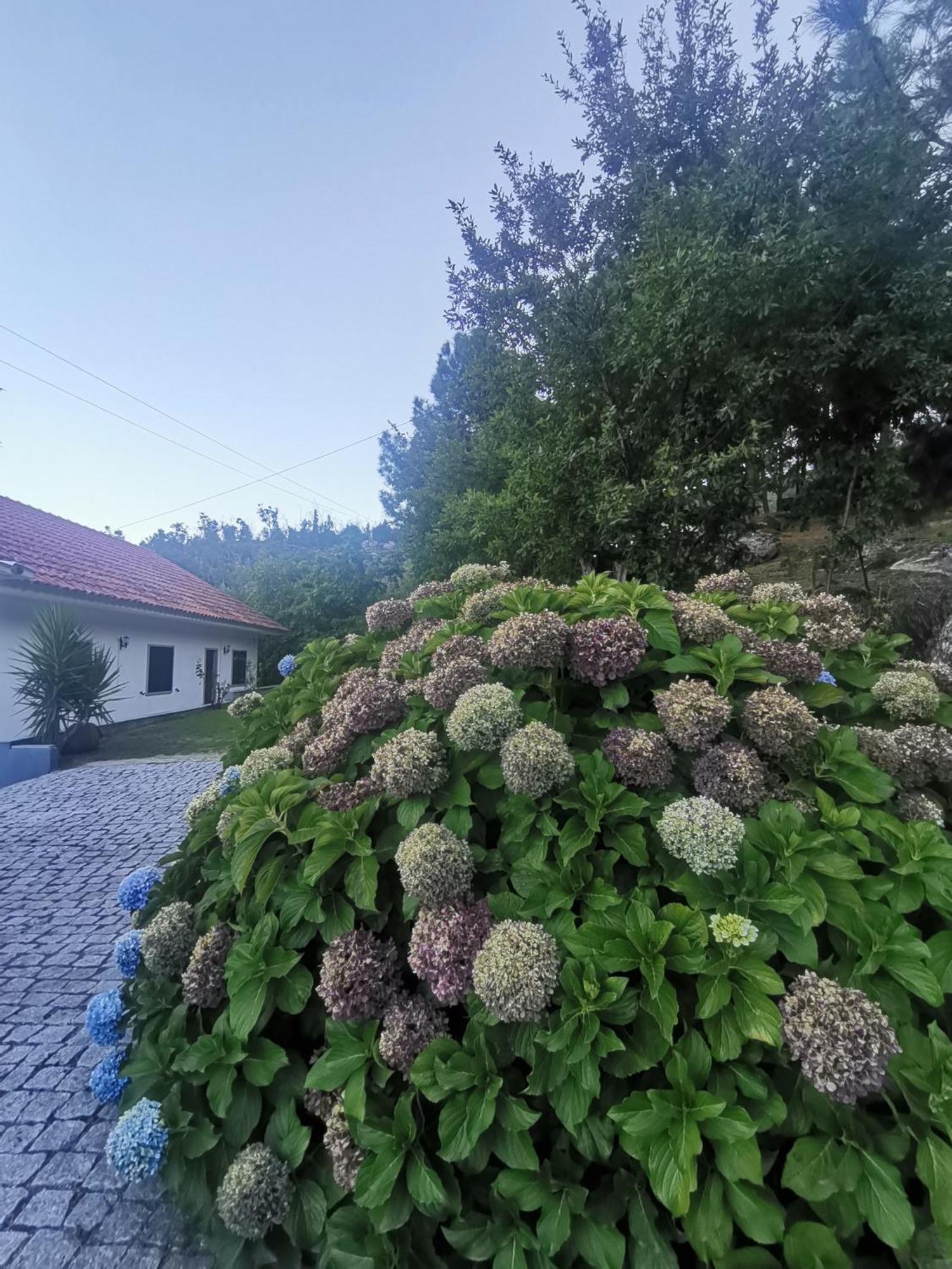 فيلا Quinta Souto Da Ordem - House Castelo Novo المظهر الخارجي الصورة